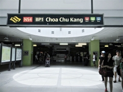 Blk 446 Choa Chu Kang Avenue 4 (Choa Chu Kang), HDB 5 Rooms #178304952